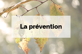 La prévention - Infos pratiques