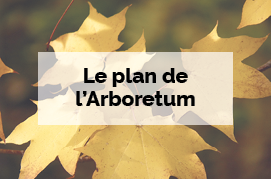 Le plan de l'Arboretum - Infos pratiques