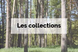 Les collections - Biodiversité