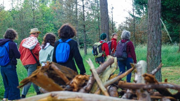 Nuit des forets 2024-Katia