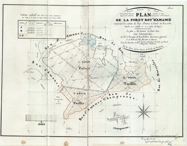 Plan de la forêt royale d'Amance en 1826